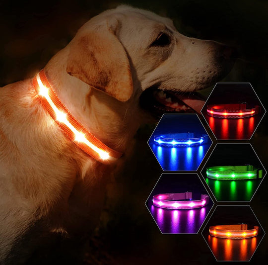 Lumo honden Lijn LED ™