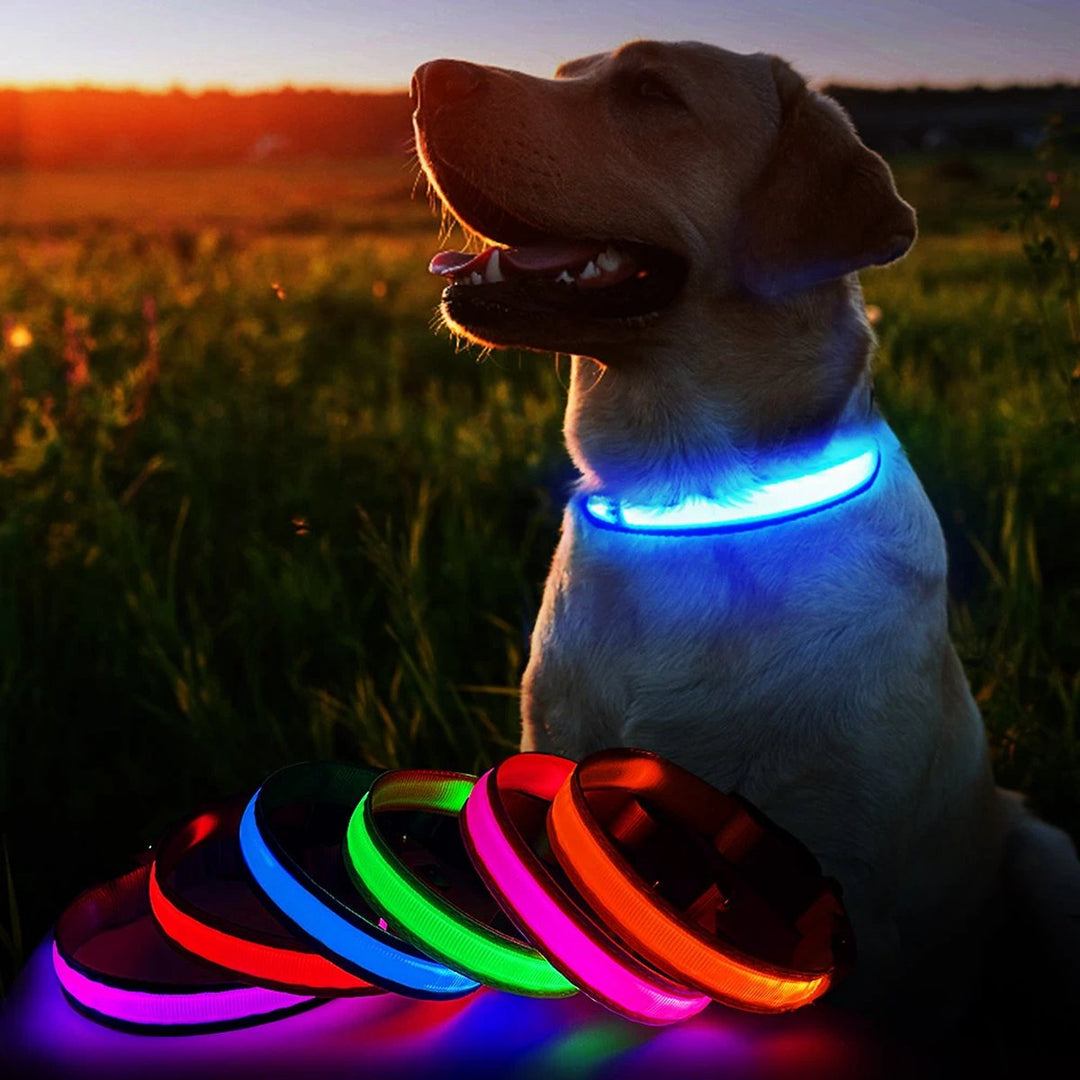 Lumo honden Lijn LED ™