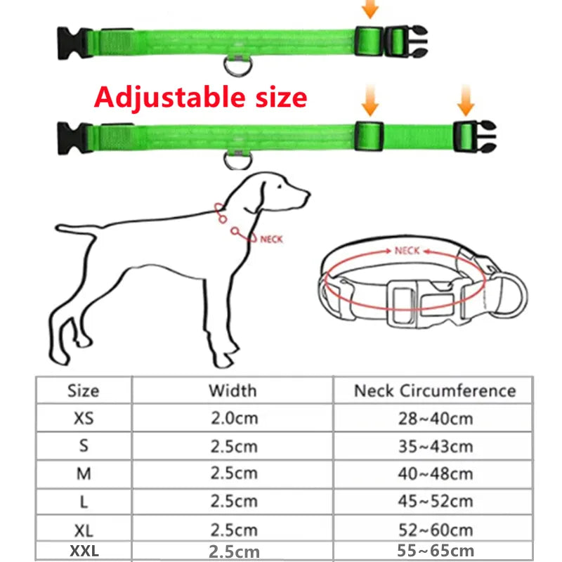 Lumo honden Lijn LED ™